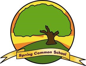Spring common school